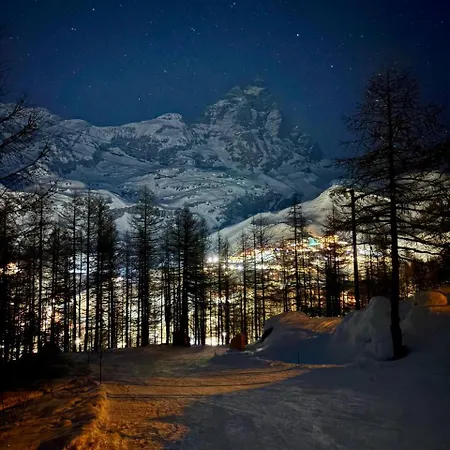 Rododendro Ski-in Ski-out Cir 0491 Διαμέρισμα Breuil-Cervinia