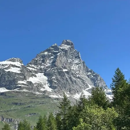 Apartment Rododendro Ski-in Ski-out Cir 0491