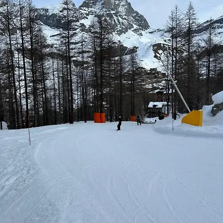 Rododendro Ski-in Ski-out Cir 0491 *