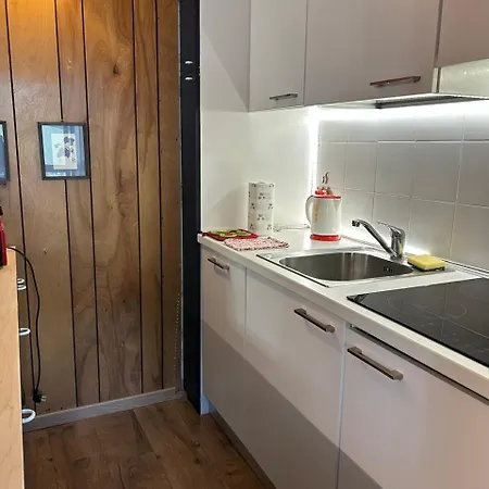 Rododendro Ski-in Ski-out Cir 0491 Apartment *